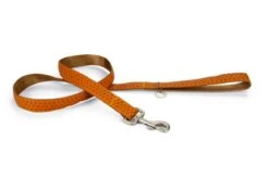 Beeztees Hondenriem Mac Leather 120cm X 25mm Bruin