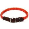 Beeztees Halsband Voor Hond Korda Nylon Rood / Oranje 65x2 Cm 2 Beeztees Halsband Voor Hond Korda Nylon Rood / Oranje 65x2 Cm -ROGZ || Beeztees || Hill's Winkel 38683