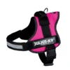 Julius K9 Power-harnas Voor Hond / Tuig Voor Voor Labels Fuchsia Maat 0/58-76 Cm -ROGZ || Beeztees || Hill's Winkel 5999053663094 1