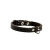 Adori Hondenhalsband Soft Leer Bruin 45 X 1,8 Cm -ROGZ || Beeztees || Hill's Winkel 8712041041493 1