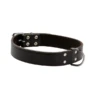Adori Hondenhalsband Soft Leer Bruin 70 X 3 Cm -ROGZ || Beeztees || Hill's Winkel 8712041041851 1