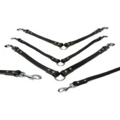 Beeztees Lederen Koppellijn Voor 2 Honden Zwart - 30 Cm X 18 Mm 7 Beeztees Lederen Koppellijn Voor 2 Honden Zwart - 30 Cm X 18 Mm -ROGZ || Beeztees || Hill's Winkel 8712695052968 ipts koppel 2 hond zwt 30x12 0 300x300 1