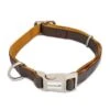 Beeztees Macleather Soft Touch Hondenhalsband Bruin 70 X 2,5 Cm 1 Beeztees Macleather Soft Touch Hondenhalsband Bruin 70 X 2,5 Cm -ROGZ || Beeztees || Hill's Winkel 8712695092148 feed