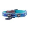 Dwam Halsband Boho Juan Blauw&Bruin - Hondenhalsband - 25-31x2.0 Cm -ROGZ || Beeztees || Hill's Winkel 8719425911649 1