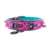Dwam Halsband Boho Rosa Roze&Bruin - Hondenhalsband - 49-59x4.0 Cm -ROGZ || Beeztees || Hill's Winkel 8719425911748 1