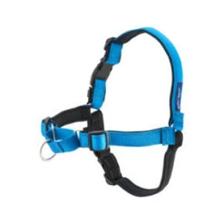 PetSafe Easywalk Hondenharnas Deluxe - Blauw - L -ROGZ || Beeztees || Hill's Winkel easywalk tuigje deluxe blauw l 50229 0300 none
