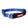 EzyDog Checkmate Halsband - XL - Blauw 2 EzyDog Checkmate Halsband - XL - Blauw -ROGZ || Beeztees || Hill's Winkel ezydog checkmate halsband xl blauw 56322 0300 none