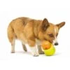 Zogoflex Toppl Treat Toy - Small - Lime