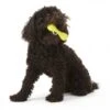 Zogoflex Hurley Dog Bone - Large - Lime -ROGZ || Beeztees || Hill's Winkel file 134