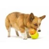 Zogoflex Toppl Treat Toy - Large - Lime -ROGZ || Beeztees || Hill's Winkel file 192
