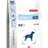 Zogoflex Hurley Dog Bone - Small - Aqua -ROGZ || Beeztees || Hill's Winkel file 2
