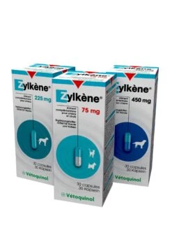Zylkène 450 Mg - 30 Capsules (hond)