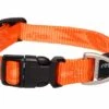 ROGZ Hondenhalsband Alpinist Oranje 1 ROGZ Hondenhalsband Alpinist Oranje -ROGZ || Beeztees || Hill's Winkel file 299