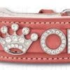 Hondenhalsband Met Naam Large Pink -ROGZ || Beeztees || Hill's Winkel file 308