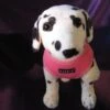 Puppia Soft Harness - XL - Roze -ROGZ || Beeztees || Hill's Winkel file 329