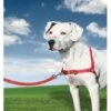 PetSafe Anti-Trek Hondentuig Easy Walk ® Rood -ROGZ || Beeztees || Hill's Winkel file 365
