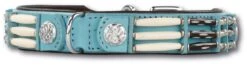 Hondenhalsband Baby Blue Eagle 25mm