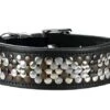 Hunter Halsband Arizona - 42 Cm -ROGZ || Beeztees || Hill's Winkel file 380