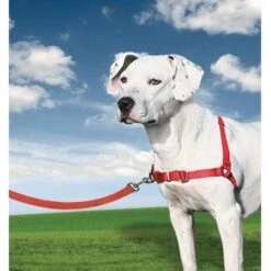 PetSafe Anti-Trek Hondentuig Easy Walk ® Rood