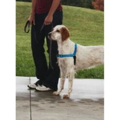 PetSafe Anti-Trek Hondentuig Easy Walk ® Deluxe -ROGZ || Beeztees || Hill's Winkel file 386