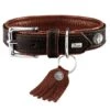 Hunter Halsband Cody - Maat 55 -ROGZ || Beeztees || Hill's Winkel file 389