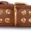 Hondenhalsband Swarovski Extreme Brown 30mm 2 Hondenhalsband Swarovski Extreme Brown 30mm -ROGZ || Beeztees || Hill's Winkel file 398
