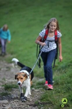 Hondenschoen 4Seasons Grijs -ROGZ || Beeztees || Hill's Winkel file 40