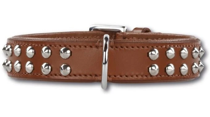 Hondenhalsband Stunning Studs Brown 4 Hondenhalsband Stunning Studs Brown - Afbeelding 2
