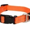 Rogz For Dogs Landing Strip Hondenhalsband Verstelbaar Oranje 80 X 4 Cm -ROGZ || Beeztees || Hill's Winkel file 408