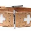 Hunter Halsband Swiss - Beige - 37 Cm -ROGZ || Beeztees || Hill's Winkel file 409