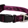 ROGZ Hondenhalsband Alpinist Paars -ROGZ || Beeztees || Hill's Winkel file 424