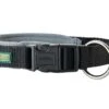 Hunter Halsband Voor Hond Neopreen Vario Plus Zwart / Grijs 010_60-65 Cmx25 Mm -ROGZ || Beeztees || Hill's Winkel file 427