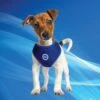 Cooling Round Loop Harnass Pacific Blue -ROGZ || Beeztees || Hill's Winkel file 452