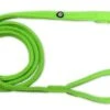 Hondenriem Mesh Fluo Green -ROGZ || Beeztees || Hill's Winkel file 524