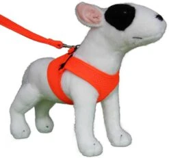 Hondentuig Comfy Harnass Mesh Fluo Orange