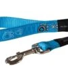 ROGZ Hondenriem Turquoise Paws -ROGZ || Beeztees || Hill's Winkel file 576