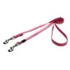 ROGZ Hondenriem Multi Purpose Trendy Pink Bones 2 ROGZ Hondenriem Multi Purpose Trendy Pink Bones -ROGZ || Beeztees || Hill's Winkel file 594