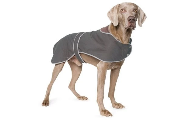 Honden Waxjas 3 Honden Waxjas