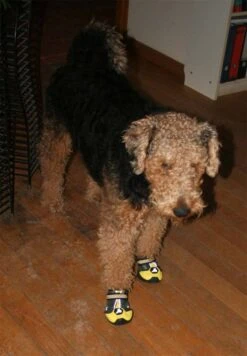 Hondenschoen 4Seasons Geel 7 Hondenschoen 4Seasons Geel -ROGZ || Beeztees || Hill's Winkel file 78