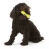 Zogoflex Hurley Dog Bone - Small - Lime -ROGZ || Beeztees || Hill's Winkel file 97