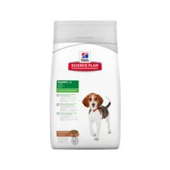 Hill's Science Plan - Puppy - Lamb & Rice 12 Kg