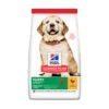 Hill's Science Plan - Puppy Large Breed - Chicken 16 Kg 1 Hill's Science Plan - Puppy Large Breed - Chicken 16 Kg -ROGZ || Beeztees || Hill's Winkel hills science plan puppy large breed chicken 16 kg 89966 0300 none