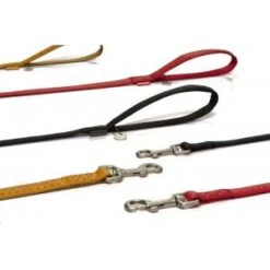 Beeztees Hondenriem Mac Leather 120cm X 25mm Bruin -ROGZ || Beeztees || Hill's Winkel hondenriem mac leather 120cm x 25mm bruin 8712695086666 1 0 300x300 1