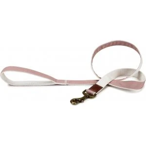 Beeztees Hondenriem Virante 120cm X 25mm Roze 4 Beeztees Hondenriem Virante 120cm X 25mm Roze - Afbeelding 2