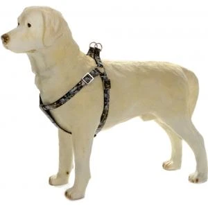 Beeztees Hondentuig Envy 35-60cm Zwart 4 Beeztees Hondentuig Envy 35-60cm Zwart - Afbeelding 2