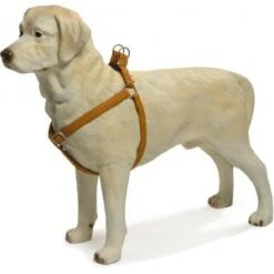 Beeztees Hondentuig Mac Leather 66-100cm Bruin -ROGZ || Beeztees || Hill's Winkel hondentuig mac leather 66 100cm bruin 8712695086697 1 0 300x300 1