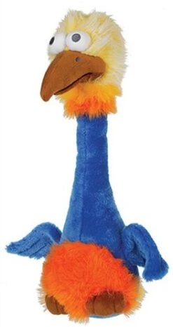 Happy Pet Bird Brain Struisvogel