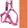 Rogz For Dogs Fanbelt Step-in Hondentuig Verstelbaar Oranje 76 X 2 Cm -ROGZ || Beeztees || Hill's Winkel image 472