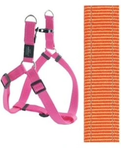 Rogz For Dogs Fanbelt Step-in Hondentuig Verstelbaar Oranje 76 X 2 Cm