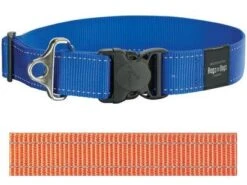 Rogz For Dogs Landing Strip Hondenhalsband Verstelbaar Oranje 80 X 4 Cm -ROGZ || Beeztees || Hill's Winkel image 494